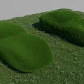 Green Grass Mounds With Yellow And White Flowers In Lush Grassland