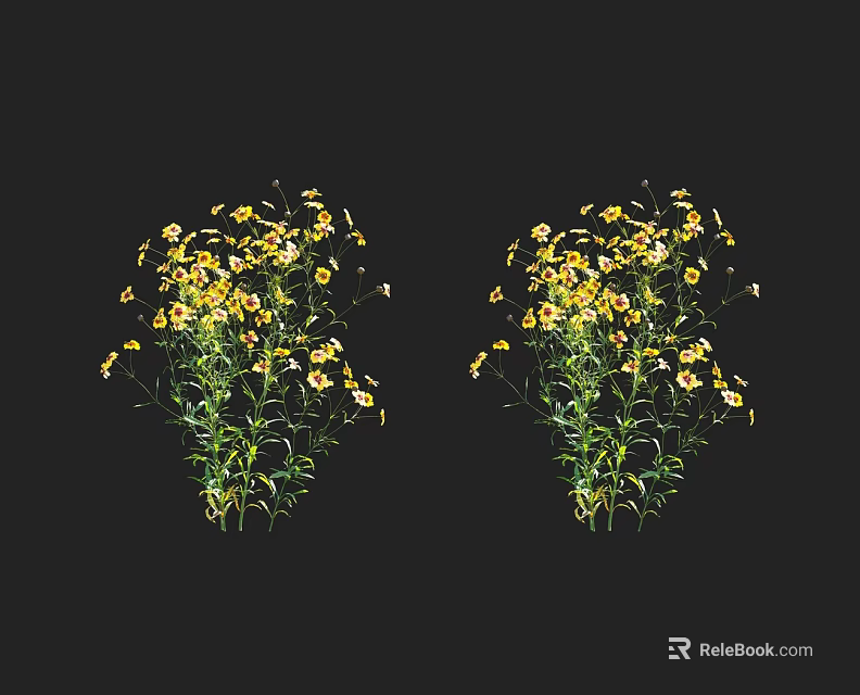 Two Bunches of Natural Small Yellow Flowers with Green Stems on Black Background 3d model 