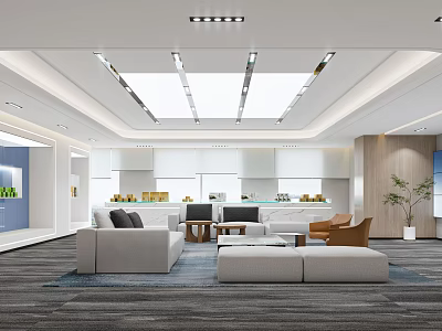 Modern Showroom Interior Design With White Sofa Coffee Table Wooden Shelves And Decorative Plant 3d model