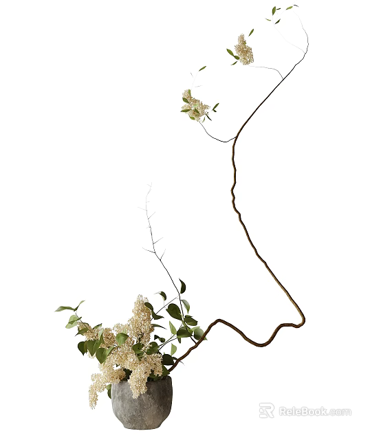 Bonsai Plant with Curved Branches Green Leaves and White Flowers Against White Background 3d model 