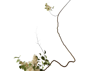 Bonsai Plant with Curved Branches Green Leaves and White Flowers Against White Background 3d model