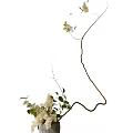 Bonsai Plant with Curved Branches Green Leaves and White Flowers Against White Background