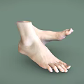 Man's Relaxed Bare Feet Anatomical Structure On Smooth Green Background