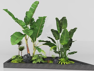 Tropical Garden Landscape With Large Banana Leaves Ferns And Decorative Stones 3d model