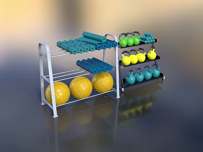 Sports Equipment Shelves With Yellow Exercise Balls Blue Foam Rollers Green Yellow Dumbbells Blue Kettlebells 3d model