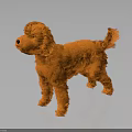Orange Plush Toy Dog With Fluffy Fur In Standing Pose On Dark Background