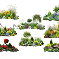Mixed Flower And Plant Garden Combinations With Various Colors Shapes And Species