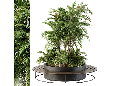 Modern Outdoor Chair With Circular Metal Base And Green Plants For Garden Patio 3d model