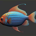 Vibrant Colorful Fish With Orange Head Blue Body Red Fins And Shiny Scales