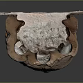 Vintage Stone Architectural Carving With Detailed Animal Head Decorative Element