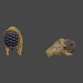 Yellow Green Creature With Open Cavity And Black Spheres Near Smaller Creature