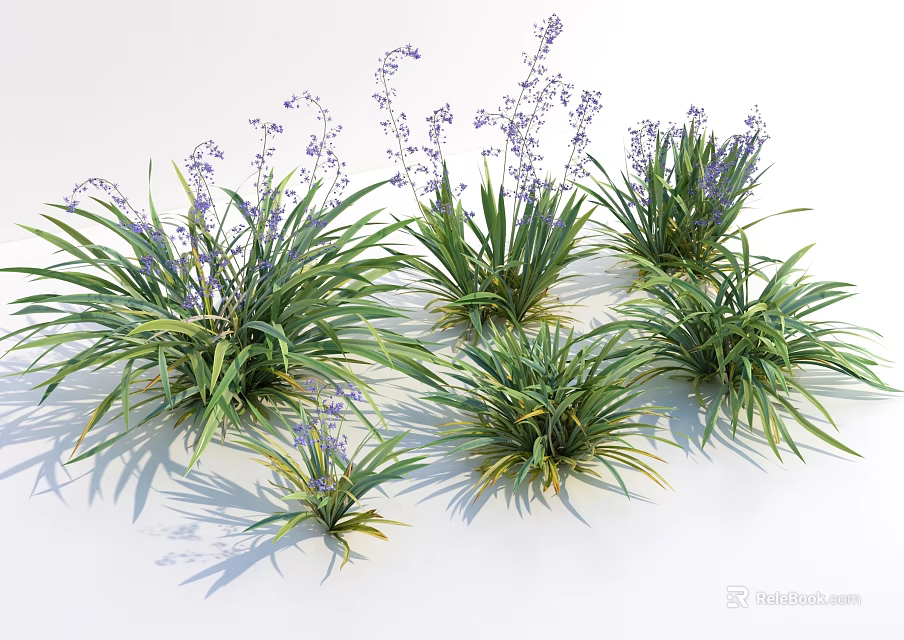 Naturally Growing Ornamental Plants with Green Long Leaves and Purple Flowers 3d model 