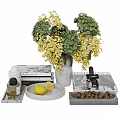 Elegant Decorative Ornament Set With Flower Bouquet Vase Books Lemons Nuts Trays And Perfume Bottle