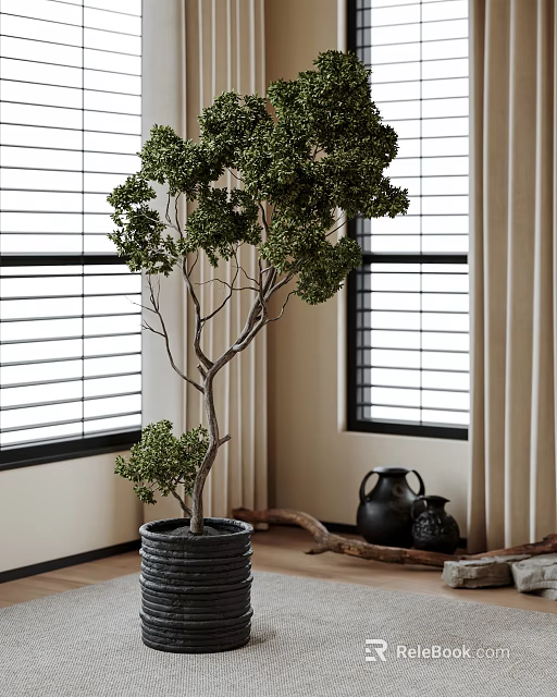Bonsai Tree in Dark Planter by Window with Blinds and Black Vases Wooden Decor 3d model 