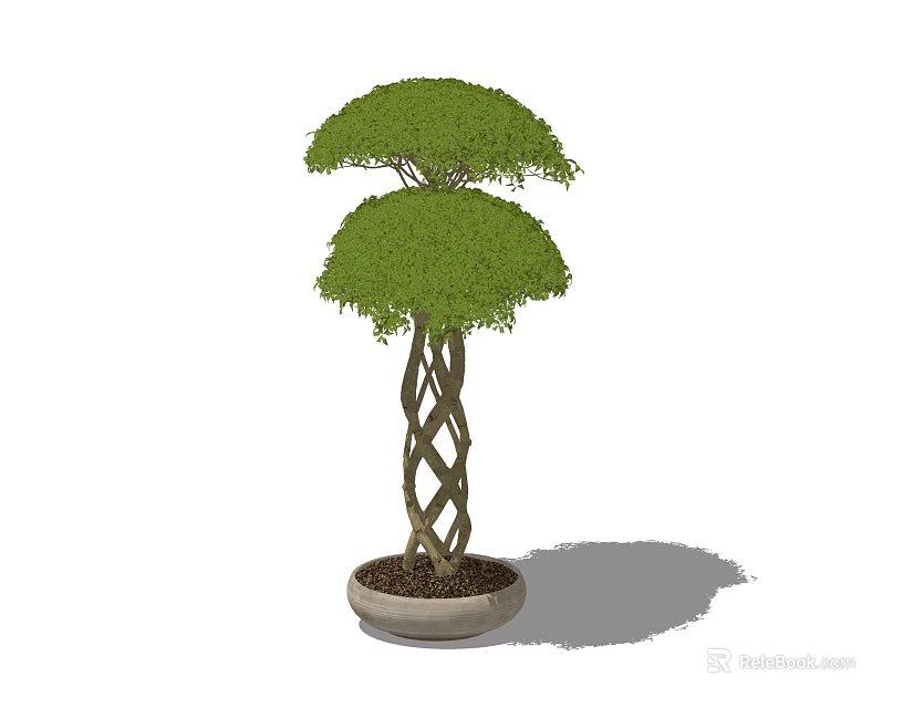 Potted Bonsai Plant With Twisted Trunk And Two Tiered Green Canopy 3d model 