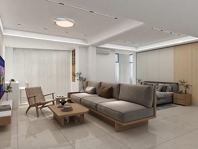 Modern Apartment Home Decoration model