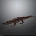 Shiny Red Crocodile Model with Yellow Eyes and Reflection on Gray Background Surface 3d model