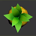 Fresh Ripe Pineapple With Green Leaves And Yellow Textured Skin On Dark Reflective Surface