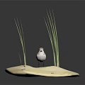 Small Bird Standing On Light Beige Sandy Ground With Green Grass Blades And Dark Background