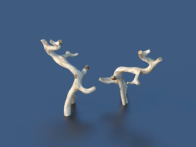 Elegant White Branch Decorative Sculptures Placed On Deep Blue Background 3d model