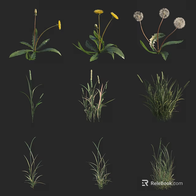 Diverse Herbaceous Plants With Dandelions Grasses And Green Foliage In Natural 3d model 