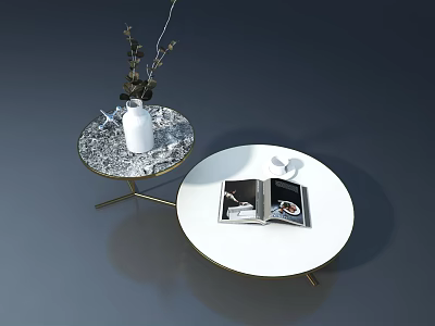 Contemporary Pet Cabinet With Round Marble Top Open Magazine And Vase Plants 3d model