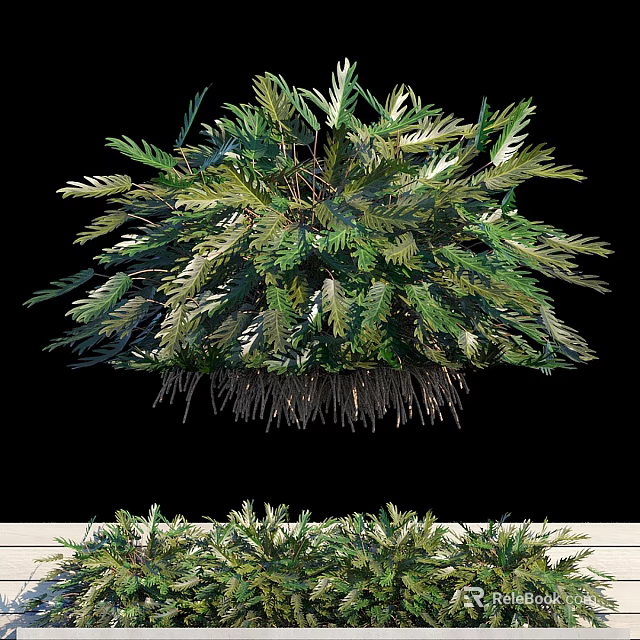 Lush Green Leafy Shrub With Dense Foliage And Natural Shape For Garden Landscaping 3d model 
