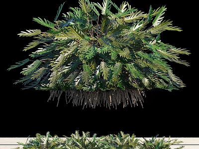 Lush Green Leafy Shrub With Dense Foliage And Natural Shape For Garden Landscaping 3d model