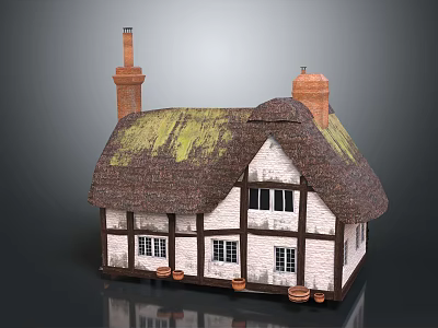 Cartoon House With Thatch Roof Moss Brick Chimneys White Walls Black Windows And Clay Pots 3d model