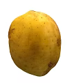 Fresh Yellow Potato with Natural Skin Spots as Nutritious Vegetable Choice for Healthy Diet