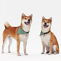 Cute Shiba Inu Dogs Wearing Green Bandanas Standing And Sitting On White Background