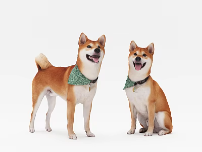 Cute Shiba Inu Dogs Wearing Green Bandanas Standing And Sitting On White Background 3d model