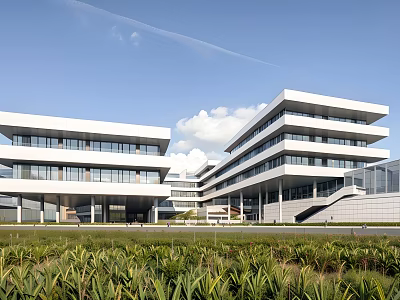 Modern Multi Storey School Building With White Exterior Large Glass Windows And Green Lawns 3d model