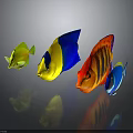Colorful Tropical Fish With Bright Yellow Blue And Red Patterns On Shiny Surface