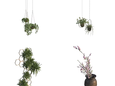 Hanging And Shelf Bonsai Potted Plants With Green Foliage And Flowering Branches 3d model