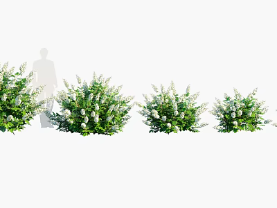 Beautiful Shrubs with White Flowers and Lush Green Leaves in Various Sizes for Garden Landscaping 3d model