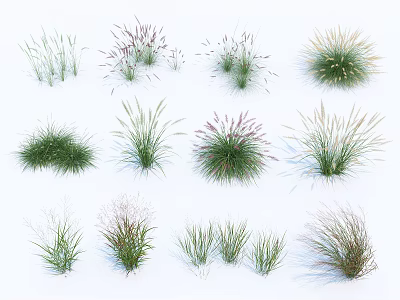 Various Types Of Garden Shrubs With Different Foliage And Growth Patterns 3d model