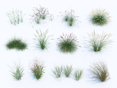 modern shrub water grass 3d model