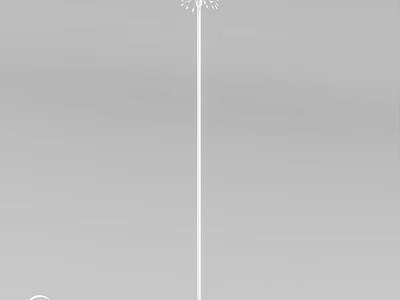 Outdoor Light With Slim Pole And Firework Shaped Light Head Design 3d model