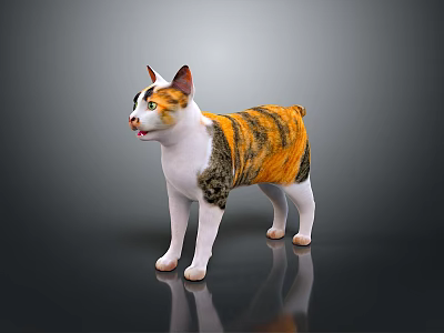 Calico Cat With Orange And White Fur Standing On Shiny Background Surface 3d model