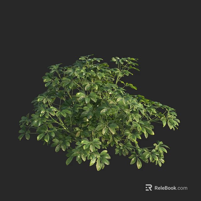 Lush Green Shrub With Dense Foliage And Healthy Leaves In 3D Render 3d model 