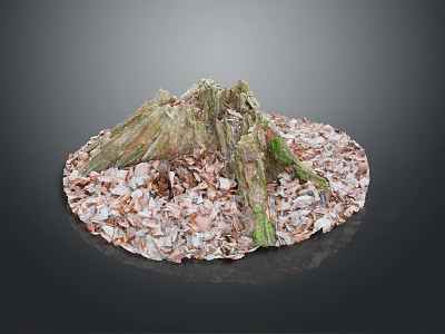 Natural Plant Tree Stump Decor With Dried Leaves On Circular Base 3d model