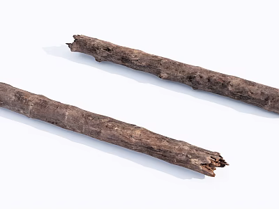 Natural Wood Log Branches With Rustic Texture On White Background 3d model