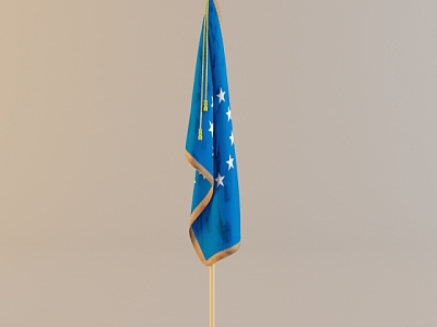 Flag model