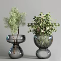Decorative Glass Vases In Different Sizes Holding Various White Flowers And Fresh Greenery