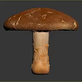 Detailed Orange Mushroom With Cracked Cap And Textured Stem