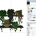 Indoor Decorative Potted Plants With Hanging Green Leaf Varieties on Wooden Shelves
