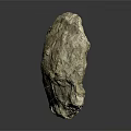 Ancient Marine Animal Fossil With Detailed Shell Structure On Dark Background