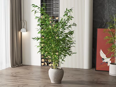 Elegant Bamboo Potted Plant In Modern Indoor With Decorative Pot And Wooden Floor 3d model