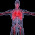 Medical Device for Visualizing Human Anatomy Skeleton Blood Vessels and Internal Organs